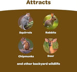 Kaytee wild chipmunk and squirrel distraction feed five pound bag close up