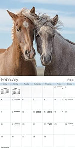 2024 Horses Wall Calendar - Image 4