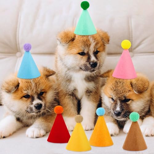 10 pieces small cone hats assortment
