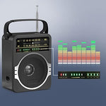 Portable radio with handle for outdoor and travel use