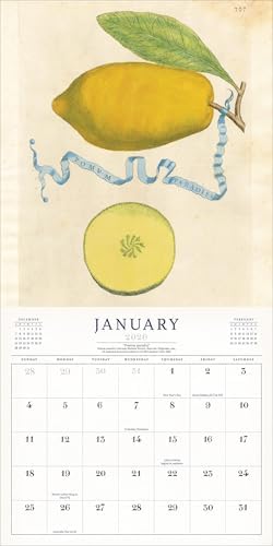 World of John Derian Wall Calendar 2026 - Image 4