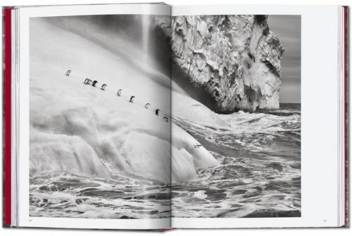 SebastiÃ£o Salgado. Genesis. 45th Ed. (45th Edition) - Image 8