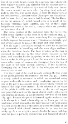 Anatomy and Perspective: The Fundamentals of Figure Drawing - Image 8
