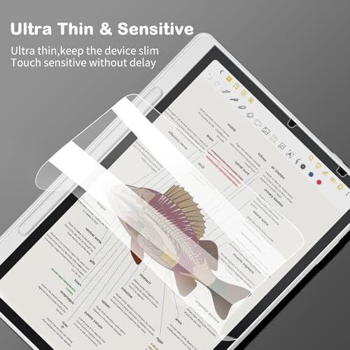 Two-pack anti-glare film for 10.95 inch XPPen tablet