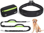 Pecute waist dog leash with detachable utility storage pouch