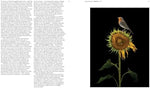 Aviary: The Bird in Contemporary Photography - Image 4