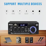 Woopker 2.0 channel mini power amplifier showcasing dual microphone inputs for home karaoke setup.