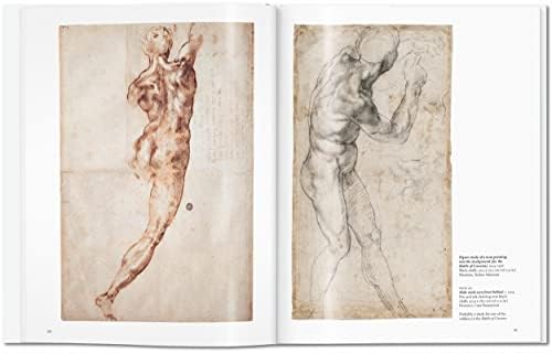 Michelangelo (Basic Art) - Image 4