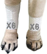 PawFlex Basic Leg Bandages Medium 12-Pack front packaging view