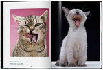 Walter Chandoha. Cats. Photographs 1942â€“2018 - Image 5