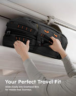 Tolaccea shockproof laptop daypack back panel view highlighting the breathable padding and luggage trolley strap.