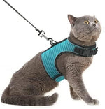 Pupteck soft mesh cat vest harness front view lake blue escape proof pet vest