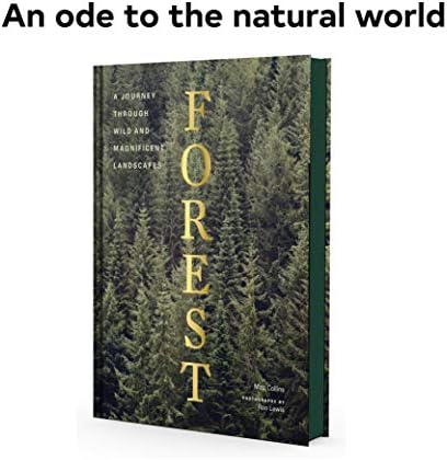 Forest: (Tree Photography Book, Nature and World Photo Book) - Image 4