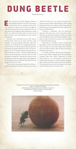 Bugs: A Photicular Book - Image 5