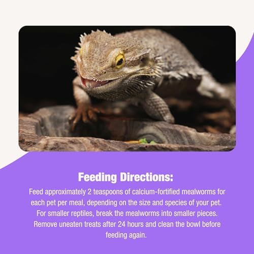 Dried gut loaded insects for tropical fish and insectivorous birds