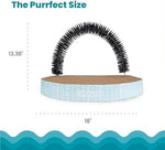 High density corrugated cardboard texture detail on the Catstages pet grooming product.