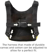 PandaEar 3-in-1 toddler backpack showing swivel connector