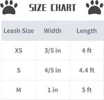 Lionet Paws Dog Leash lifestyle view for small and medium dogs