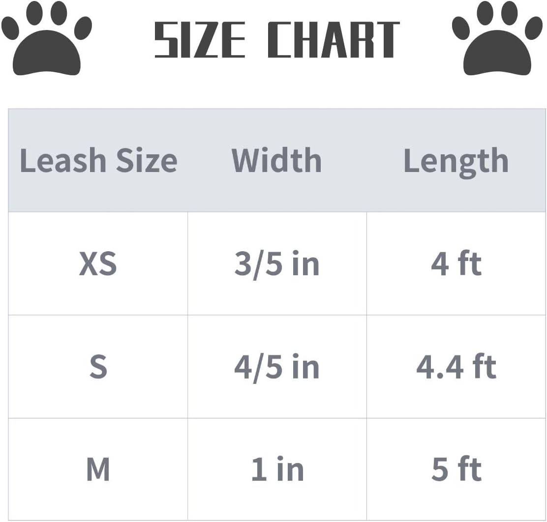 Lionet Paws Dog Leash lifestyle view for small and medium dogs
