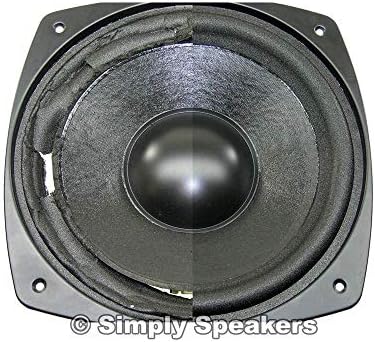 Close up of 10 inch speaker foam edge texture