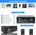 Woopker 2.0 channel home theater amplifier back panel highlighting speaker terminal connection ports and RCA inputs