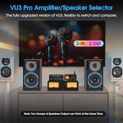 Douk Audio VU3 PRO 2-IN-2-OUT amplifier speaker selector premium aluminum chassis layout