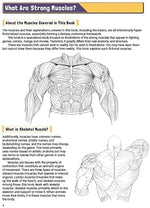 Manga Muscles: An Artist's Guide to Drawing Powerful Male Bodies [With Over 500 color and B&W illustrations] - Image 4