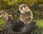 Folkmanis realistic animal hand puppet showing the soft white underbelly and front paws