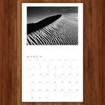 Ansel Adams 2026 Wall Calendar: Authorized Edition (Monthly Calendar) - Image 6