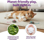 SmartyKat catnip mice pack packaging details