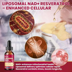 Hovika 1200mg NAD+ liquid drops for cellular health