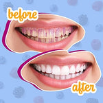 Family oral care routine using Lingito plaque disclosing tablets