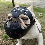 Barkless flat faced dog muzzle side view with adjustable head straps