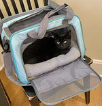 Enjoying Cat Mat Bed 10" x 15" Pet Bed with Pillow Around for Puppy Kitten Curled Sleeping Beds for Carrier/Crate Small Dog Cushion, Anti Skid Bottom, Small - Image 7