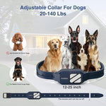 Four thousand two hundred feet range pet correction tool kit with charging accessories