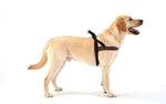 ComfortFlex dog harness integrated control handle and leash ring