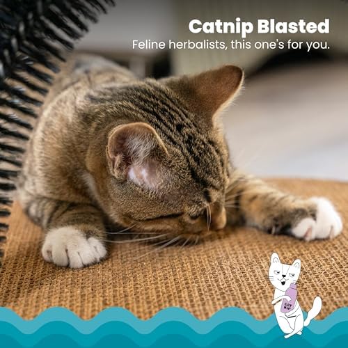 Side angle view of Catstages self grooming station for indoor cats and kittens.
