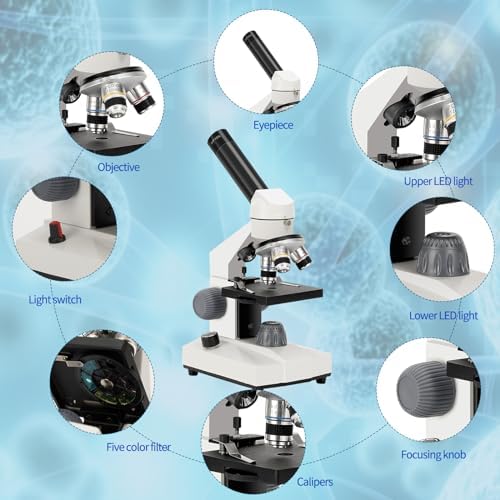 Close up of wide-angle 10X and 25X microscope eyepieces