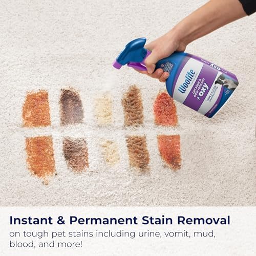 Woolite Advantage Oxy formula for removing urine and dirt stains from rugs.
