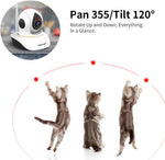 Motion detection alerts showing smartphone push notifications from the home security camera