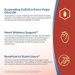 Doctor's Recipes natural trans form Coenzyme Q10 supplement container showcasing non GMO and gluten free certification labels.