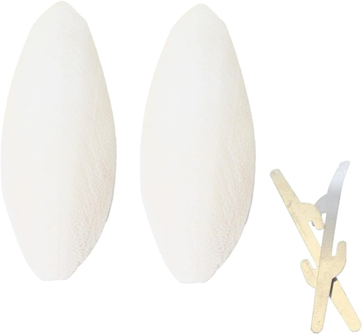 Emours imported pet cuttlefish bone twin pack ideal for bird and reptile enclosures.