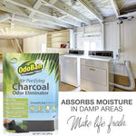 Authentic USA imported OdoBan charcoal air purifier for home use