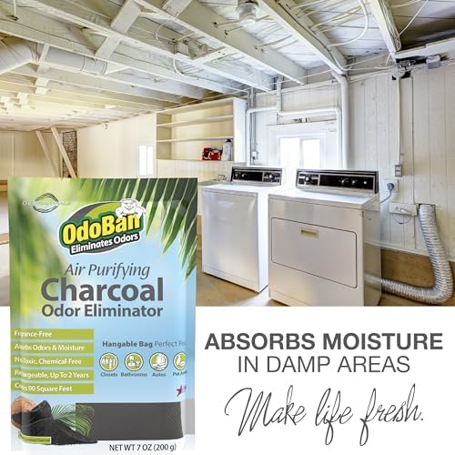 Authentic USA imported OdoBan charcoal air purifier for home use