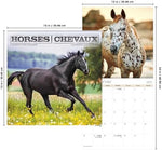 2025 Horses Wall Calendar (Bilingual French) - Image 8