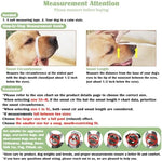 Side profile of Mayerzon mesh mouth guard on dog