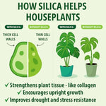 Houseplant Resource Center Silica Strength 8 Fluid Ounces bottle packaging