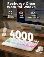 Sablute ergonomic wireless mouse in white displaying its sleek curves and precision scroll wheel