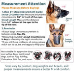 Adjustable strap detail on Luckypaw dog mouth guard