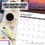 What Cats Teach Us 2026 Wall Calendar - Image 5